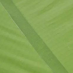 VAUDE LIZARD SEAMLESS 1-2P - Einpersonenzelt 34 VAUDE LIZARD SEAMLESS 1-2P - Einpersonenzelt -Angebote Bergsport Store 5637736447 af power lizard seamless 12p cress green vaude 24