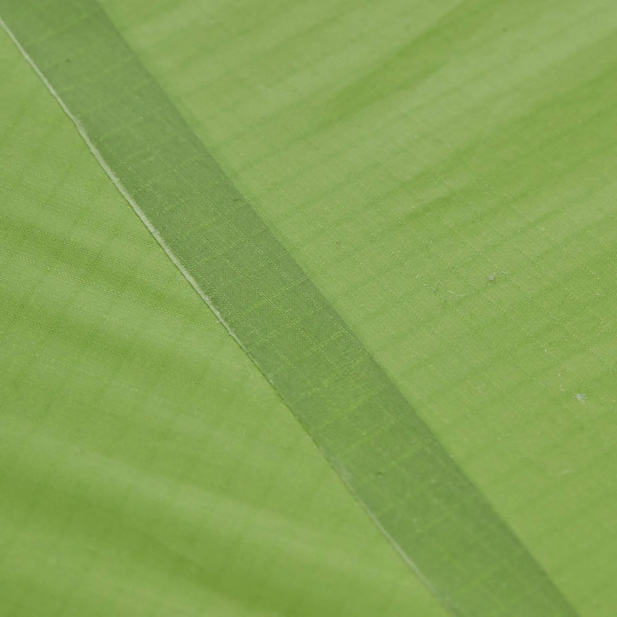 VAUDE LIZARD SEAMLESS 1-2P - Einpersonenzelt 17 VAUDE LIZARD SEAMLESS 1-2P - Einpersonenzelt – Bild 16