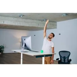 Blackroll BALL 08 12 Blackroll BALL 08 -Angebote Bergsport Store 5637769469 d ball 08 blackroll 24