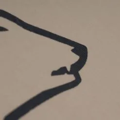 Nordisk KARI 20 - Tarp 25 Nordisk KARI 20 - Tarp -Angebote Bergsport Store 5638028400 h kari 20 technical cotton tarp nordisk 24